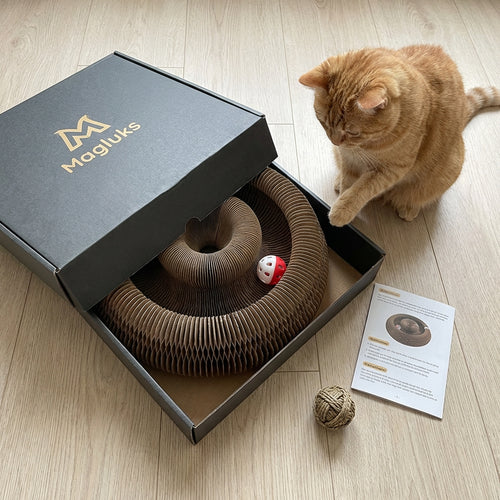 Interaktywny Drapak Dla Kotów Magluks