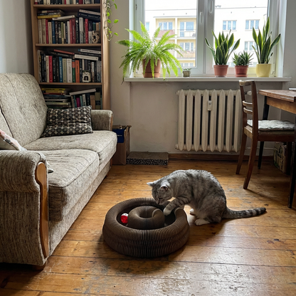 Interaktywny Drapak Dla Kotów Magluks